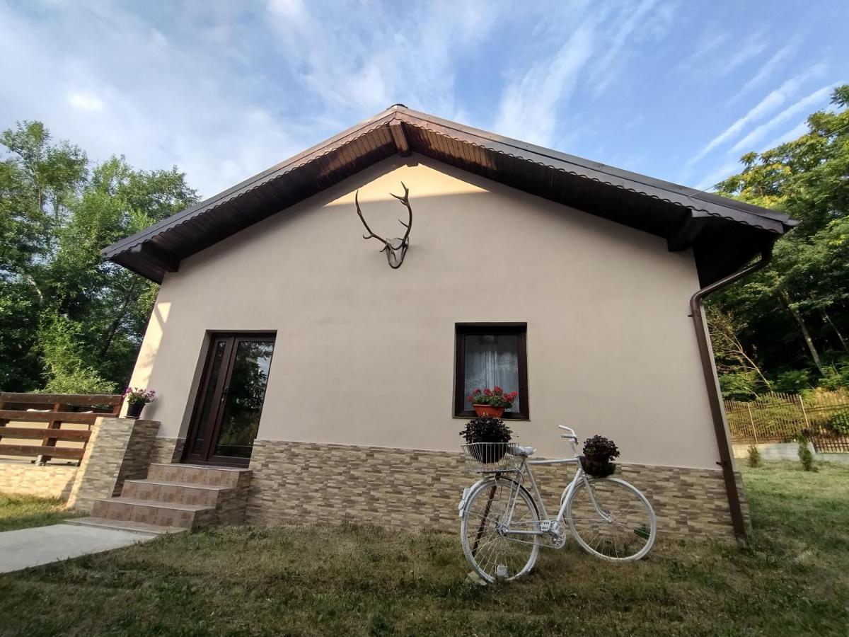 Casa De Vacanta Radu Novaci-Străini Esterno foto